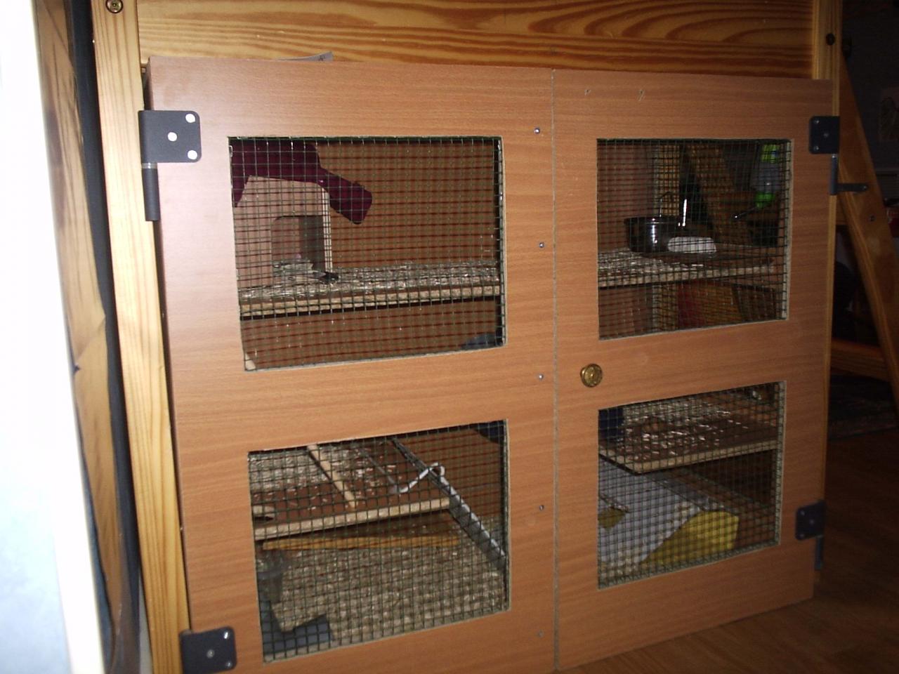 cage maison orane 2005 - 2006